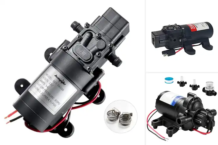 Detailed view of Best 12V Pumps