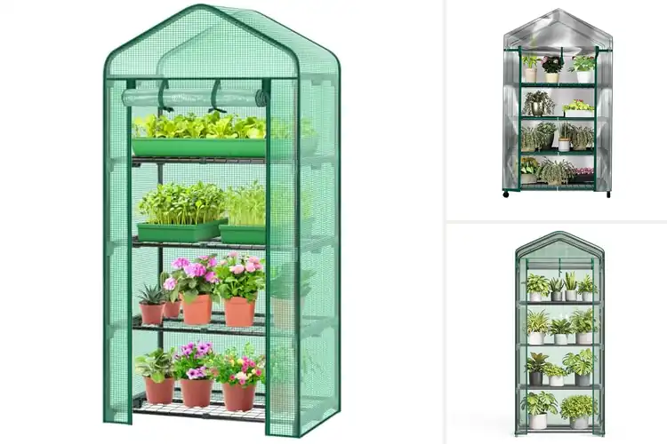 Detailed view of Best 4 Tier Mini Greenhouses