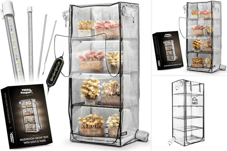 Detailed view of Best 4 Tier Mushroom Grow Tent