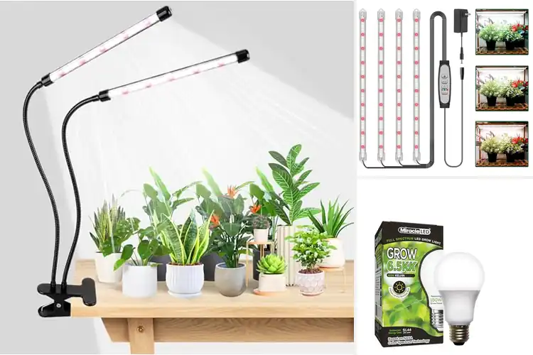 Detailed view of Best 6500K Grow Light
