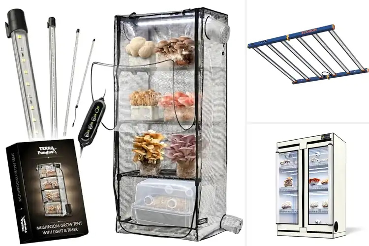 Detailed view of Best 6500K LED Grow Tents