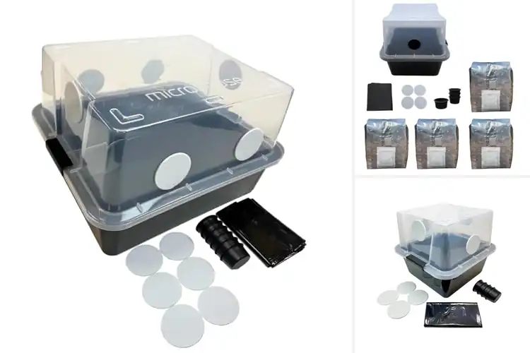 Detailed view of Best All In One Mushroom Fruiting Chamber