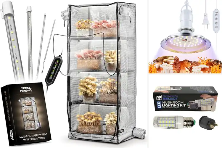 Detailed view of Best All In One Mushroom Grow Kit With Led Light