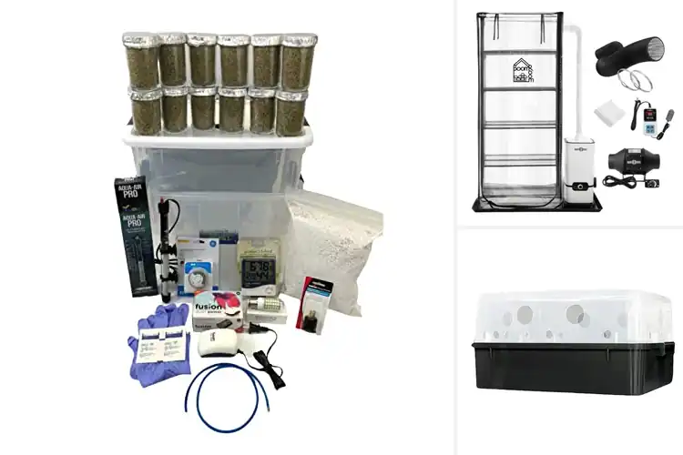 Detailed view of Best Automated Fruiting Chambers