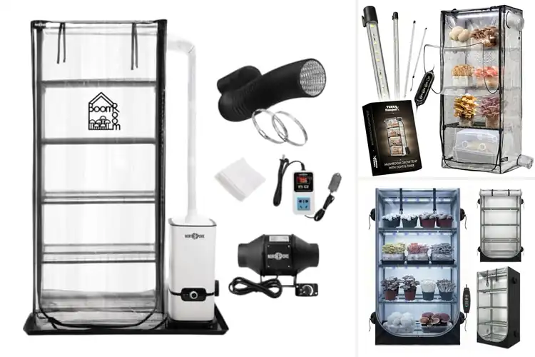 Detailed view of Best Automated Mushroom Grow Tents