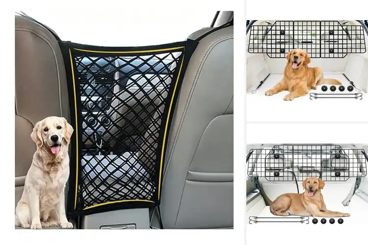 Detailed view of Best Car Barriers For Dogs