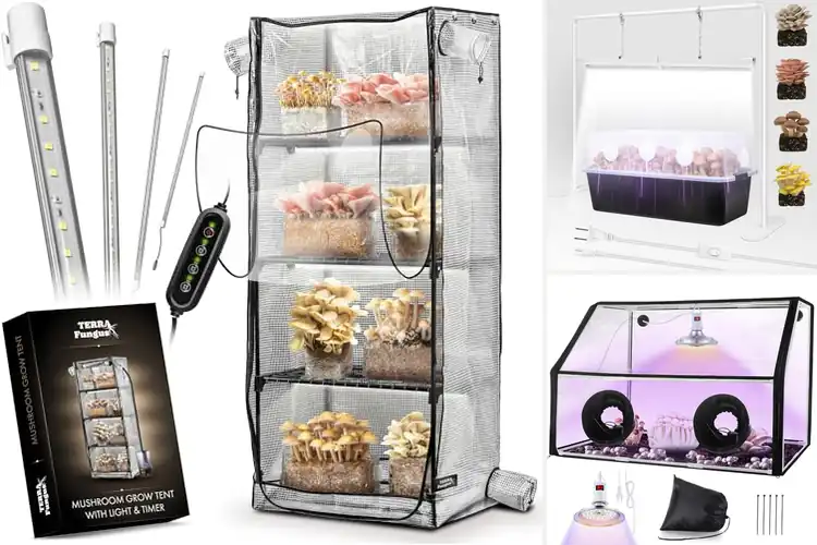 Detailed view of Best Complete Grow Light Kit For Mushrooms