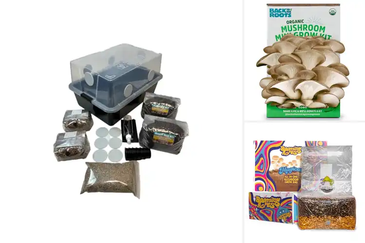 Detailed view of Best Complete Mushroom Grow Kit