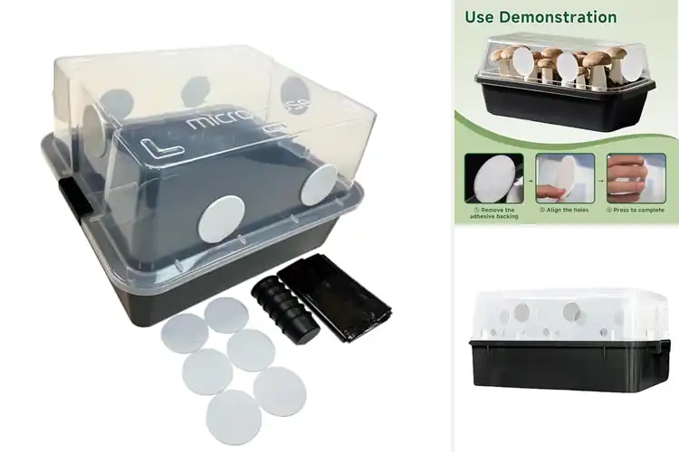 Detailed view of Best Fruiting Chambers