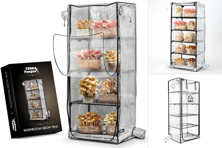 Detailed view of Best Fungus Fruiting Chamber Tent