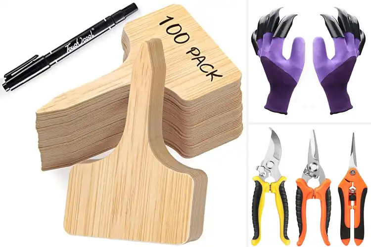 Detailed view of Best Garden Accessories