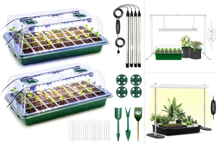 Detailed view of Best Grow Kit With Light And Timer