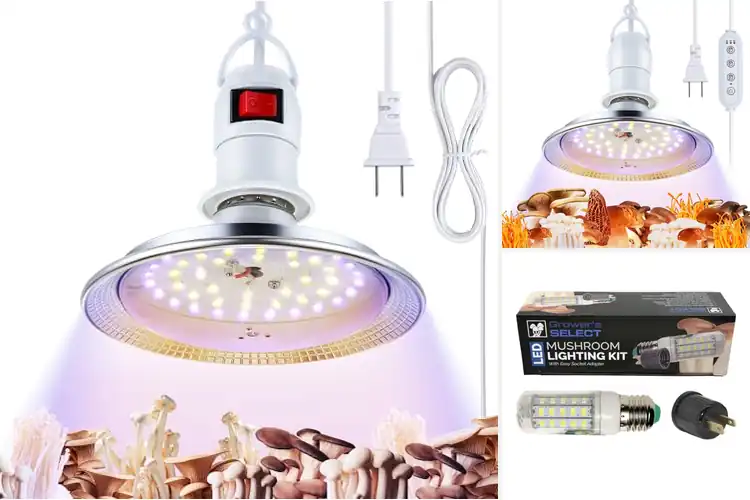 Detailed view of Best Grow Light For Mushrooms