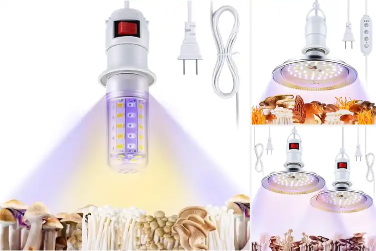 Detailed view of Best Grow Lights For Mushrooms: Boost Growth Easily