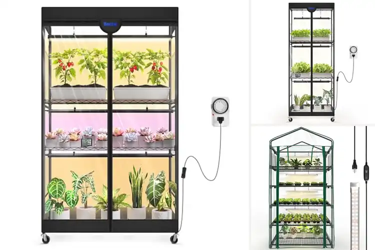 Detailed view of Best Grow Tent With Timer