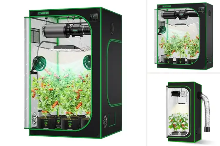 Detailed view of Best Grow Tents: Top 10 Picks for Thriving Indoor Gardens