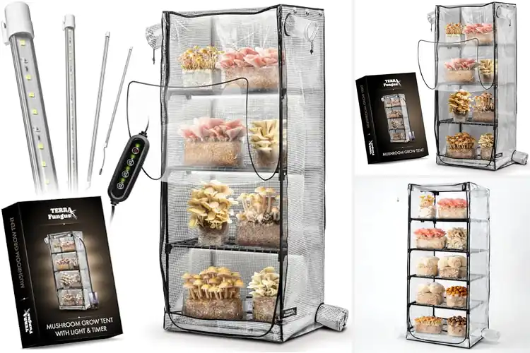 Detailed view of Best Humidity Tent For Mushrooms