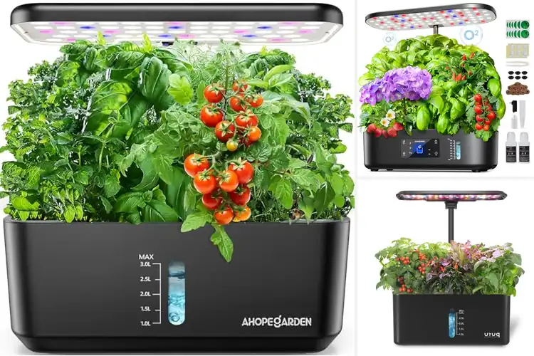 Detailed view of Best Hydroponic Grow Systems for Fresh Home Harvests