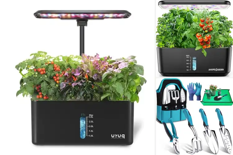 Detailed view of Best Indoor Gardening Kits