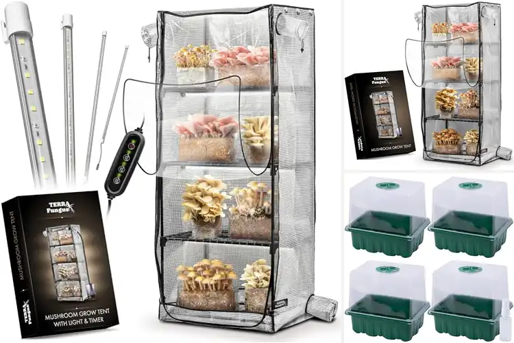 Detailed view of Best Indoor Greenhouse For Monotubs