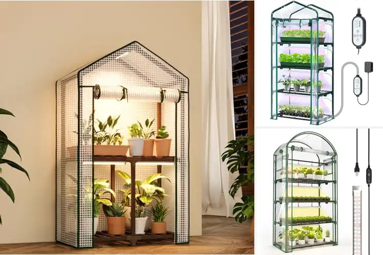 Detailed view of Best Indoor Greenhouses With Lights
