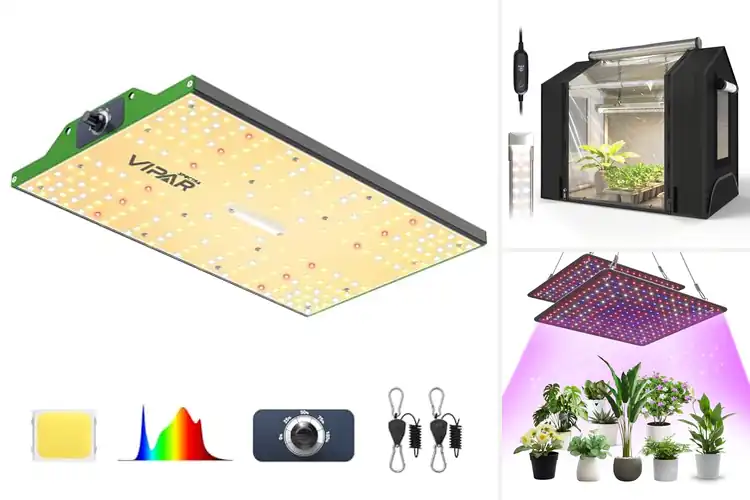 Detailed view of Best Indoor Grow Light Tent