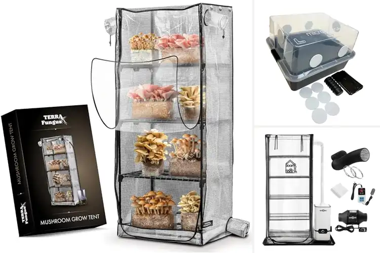 Detailed view of Best Indoor Mushroom Fruiting Chamber