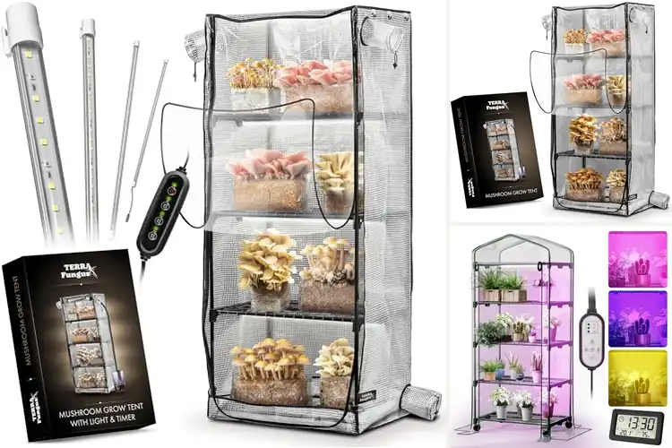 Detailed view of Best Indoor Mushroom Greenhouse: Year-Round Growth Made Easy
