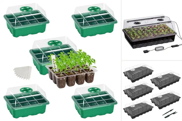 Detailed view of Best indoor seed starter greenhouses