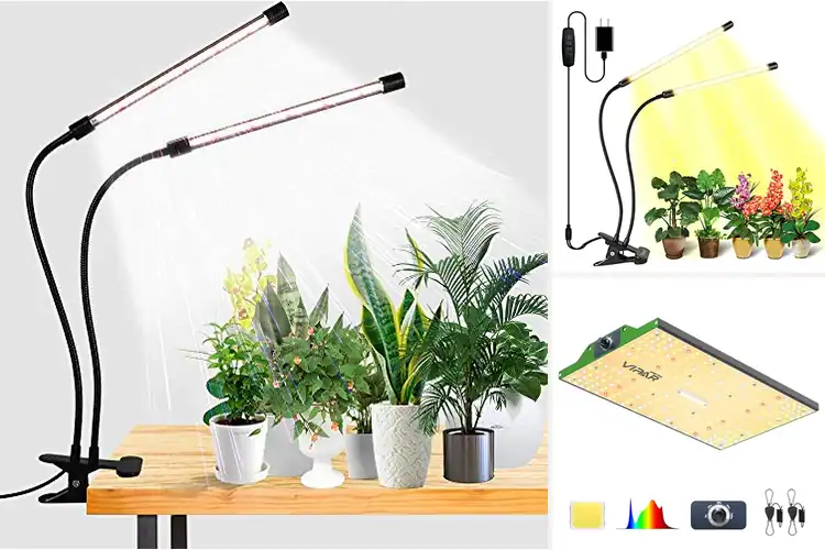 Detailed view of Best LED Grow Lights