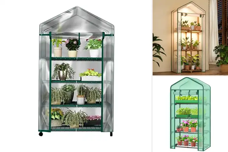 Detailed view of Best Mini Greenhouse Shelves