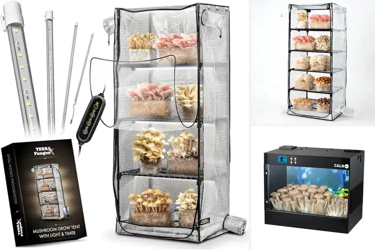 Detailed view of Best Monotub Capacity Grow Tent