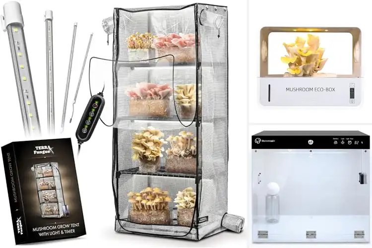 Detailed view of Best Monotub Compatible Grow Tent