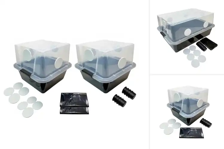 Detailed view of Best Monotub Fruiting Chambers