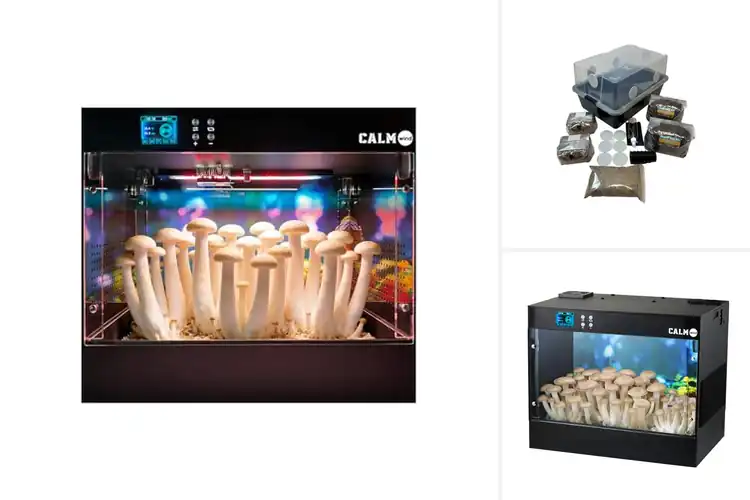 Detailed view of Best Monotub Grow Systems