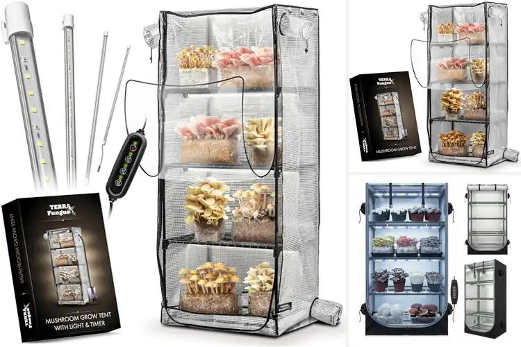 Detailed view of Best Monotub Grow Tents