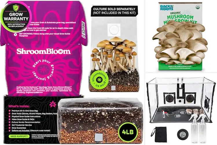 Detailed view of Best Mushroom Cultivation Kits