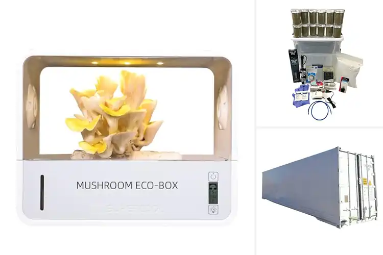 Detailed view of Best Mushroom Cultivation Systems: Grow More with Ease
