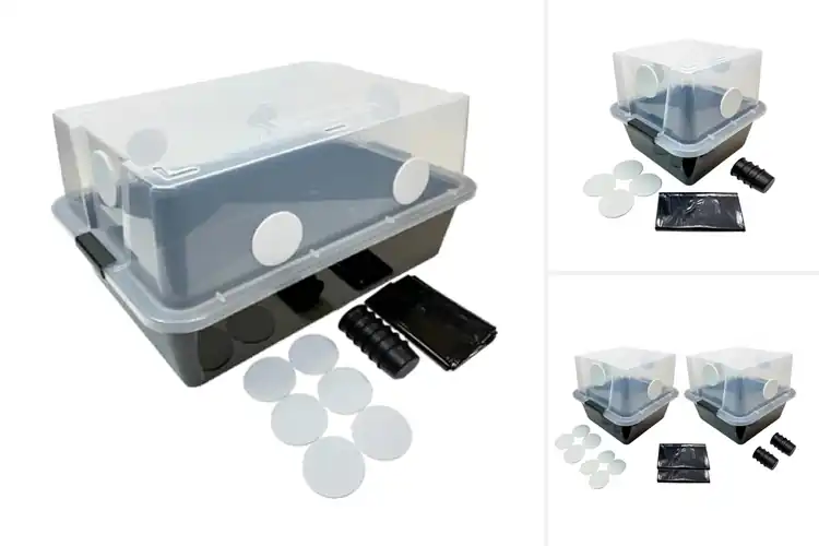 Detailed view of Best Mushroom Fruiting Chambers