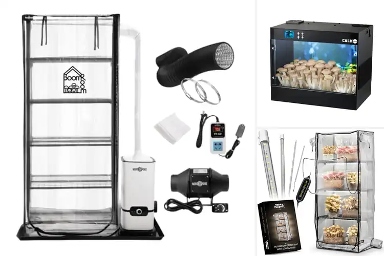 Detailed view of Best Mushroom Grow Systems