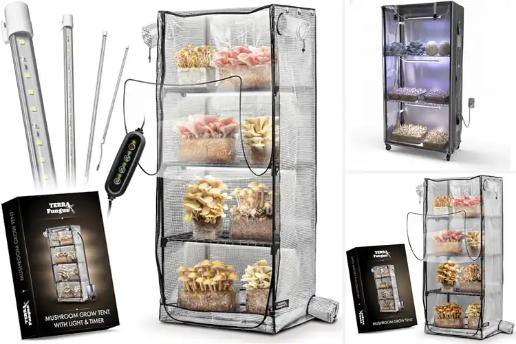 Detailed view of Best Mushroom Grow Tent For Monotubs Eight