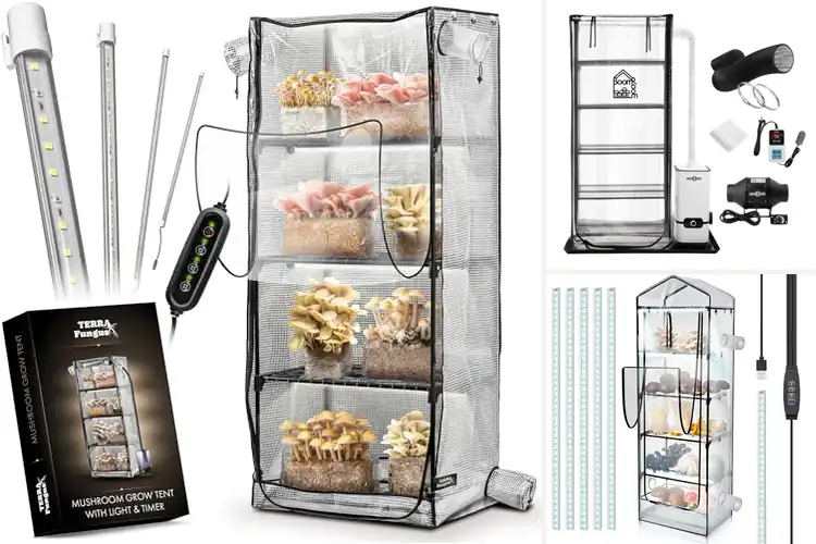 Detailed view of Best Mushroom Grow Tent Kit With Timer