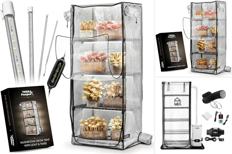 Detailed view of Best Mushroom Grow Tent