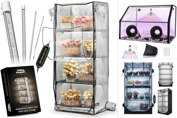 Detailed view of Best Mushroom Grow Tent With Led Light