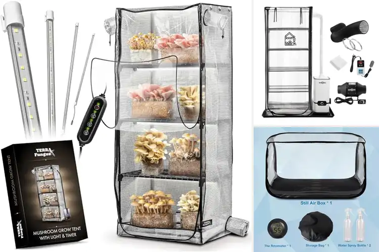 Detailed view of Best Mushroom Grow Tents