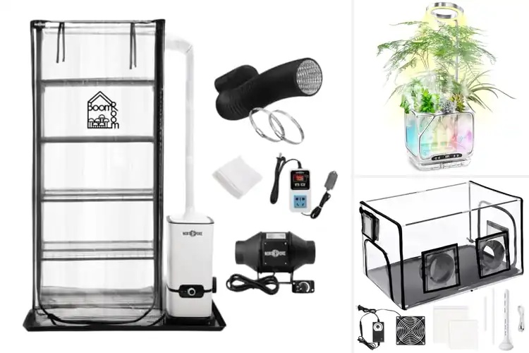 Detailed view of Best Mushroom Growing Systems