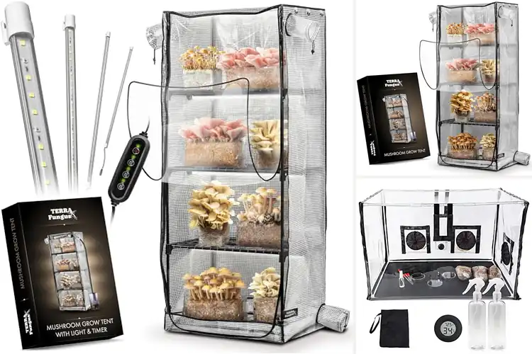 Detailed view of Best Mushroom Humidity Tent
