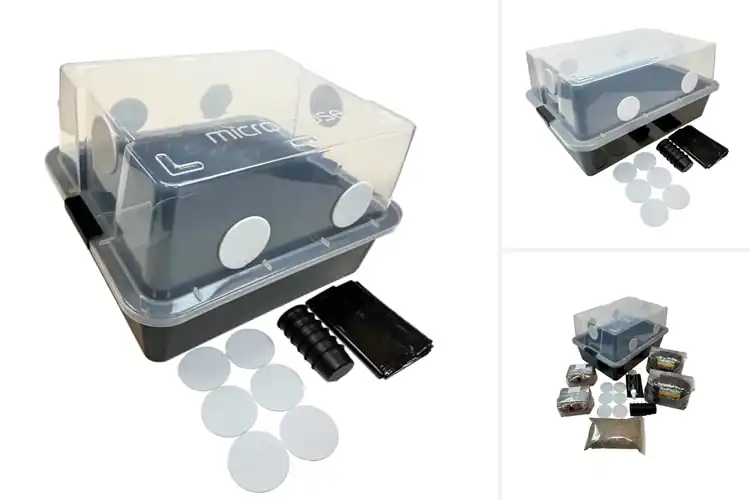 Detailed view of Best Mushroom Monotubs