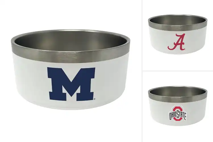 Detailed view of Best NCAA Dog Bowls: Durable, Fun, Team-Pride Mealtime