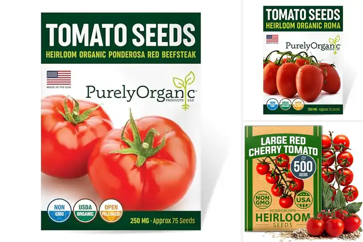 Detailed view of Best Organic Tomato Seeds: 10 Packs for Juicy Harvests
